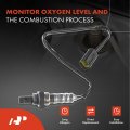 A-premium O2 Oxygen Sensor Compatible With Mazda 6 2003 2004 2005 3 0l Upstream Downstream 4-pc Set