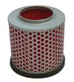 Hiflofiltro Hfa1404 Premium Oe Replacement Air Filter 