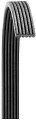 Serpentine Belt Fits Volkswagen Double Sided W A C 
