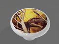 T Rex Hunt High Gloss Ceramic Drawer Knob 