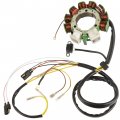 Caltric Stator Compatible With Polaris Worker 500 1999