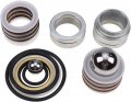 Solarhome New Pump Repair Kit 246341 249123 For Graco Gh200 Gh300 Gmax 7900 Hydramax 225