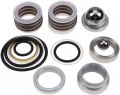 Solarhome New Pump Repair Kit 246341 249123 For Graco Gh200 Gh300 Gmax 7900 Hydramax 225