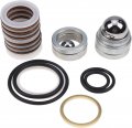 Solarhome New Pump Repair Kit 246341 249123 For Graco Gh200 Gh300 Gmax 7900 Hydramax 225
