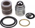Solarhome New Pump Repair Kit 246341 249123 For Graco Gh200 Gh300 Gmax 7900 Hydramax 225