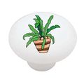Southwestern Plant Decorative High Gloss Ceramic Drawer Knob 