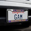 Wisconsin-stevens Point Pointers Full Size Standard License Plate Metal Frame