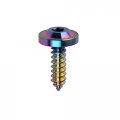 Titanium M5x15mm Self Tapping Screws Torx Head Motorcycle Bolts Grade 5 Tc4 Alloy Rainbow Orange Pack Of 4 Stm45 