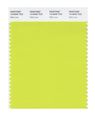 Pantone Smart 13-0540x Color Swatch Card Wild Lime 