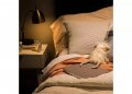 Hd Led Light Bulbs Soft White 10 5-watts 800 Lumens 4-pk 