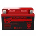 Neptune Ytz10s Replacement Battery For Honda 600 Cbr600f4i 600rr 2001-2012
