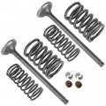 Caltric 2x Exhaust Valve Kit Compatible With Honda Trx300x 2x4 2009 14721-hc0-000 14761-hm3-672