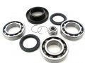 Boss Bearing 41-3390-8e4-2 Rear Differential Bearings And Seals Kit For Honda Trx450fe Trx450fm 2002-2004 