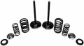 Kibblewhite Precision Intake Only Stainless Conversion Valve Spring Kit 30-31210 