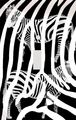 Zebra Stripe Print Silhouettes Decorative Switchplate Cover 