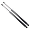 20 1 In Liftgate Struts Shocks Lift Supports Gas Springs For Chevrolet Trailblazer 2002 2009 Buick Rainier 2004 2007 Gmc Envoy 