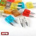 Car Fuse Assortment 15pc Mini 