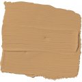 Glidden Exterior Paint Primer Beige Welcome Home One Coat Semi-gloss 1-gallon 
