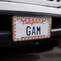 Pineapple Collage License Plate Tag Frame
