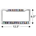Colorful Owls Cute Pattern Full Size Standard License Plate Metal Frame