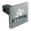Lake Erie College Primary Logo Tow Trailer Hitch Cover Plug Insert 1 4 Inch 25