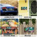 Wolf And Aurora Print License Plate Metal Car Stylish Aluminum Decorative Front With Screw Standard Size 12a 6 In