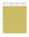 Pantone Smart 15-0636x Color Swatch Card Golden Green 