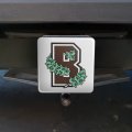 Brown University Secondary Logo Tow Trailer Hitch Cover Plug Insert