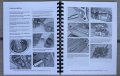 I5motorcycle Service Repair Manual For Honda Crf80 Crf100 Crf 80 100 Xr Xr80 Xr100 2000-2023
