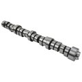 53022064aa Mds Camshaft Replacement For Dodge Ram 1500 2500 3500 5 7l Hemi 2003-2008