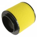 Caltric Air Filter Cleaner For Honda Foreman 500 Trx500tm 2x4 2005 2006 