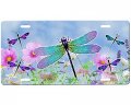 Dragonflies License Plate 