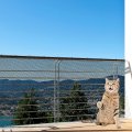 Cat Balcony Net 5 X 0 8 Meter Anti Fallting Mesh Fence Net Child Safety Screen Protection Crib For Pets Baby Black 