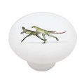 Lesothosaurus Dinosaur Decorative High Gloss Ceramic Drawer Knob 