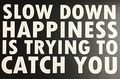 C60450 White Slow Down Happiness Is Trying To Catch You 5x8 