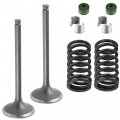 Caltric 2x Exhaust Valve Kit Compatible With Yamaha Yz450f Yz 450f 2010 2011 2012 2013 33d121210000