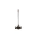 Melling V1195 Intake Valve 