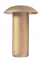 5 16 Dia X 13 Length -ms20470-ad10-13 Aluminum Rivet Gold Anodized Finish Pack Of 1 Pound Approximately 96 Pieces 