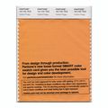 Pantone Smart Swatch 15-1151 Iceland Poppy 