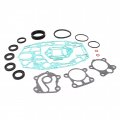 Outboard Engine 6h4-w0001-20 6h4-w0001-21 6h4-w0001-c0 Lower Gearcase Seal Kit For Yamaha 40hp 50hp Boat Motor Unit Gasket Fit