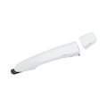 Nissan Rogue 2014-2020 Exterior Door Handle Front Driver Side Plastic Chrome With Keyhole Excluded Smart Entry System Button 