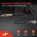 A-premium O2 Oxygen Sensor Compatible With Toyota Camry 2002-2017 Avalon 2015-2018 Lexus Es300 2002-2003 Es350 2007-2014 Gs300