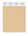 Pantone Smart 13-1014x Color Swatch Card Mellow Buff 