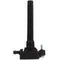 2-pins Car Ignition Coils Fit 2011-2017 For Chrysler 200 3 6l V6 2011-20 300 3 Replacement Uf648 Set Of 1 