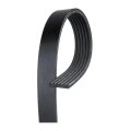 Standard V Ribbed Serpentine Belt For Buick Electra 1990 Black 6 Ribs 0 807 In Top Width 2615 Mm Outside Circumference 