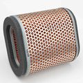 Triumph Air Filter T2202203 