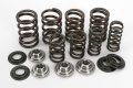 Precision Valve Spring Kit Trtc11600 For Intake And Exhaust Titanium Retainers 0 415in Lift Part Number 40-40700 