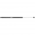 Aintier Automotive Replacement Shock Lift Supports Fit Ford For Escape 2013-2017