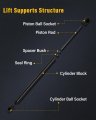 Aintier Automotive Replacement Shock Lift Supports Fit Ford For Escape 2013-2017