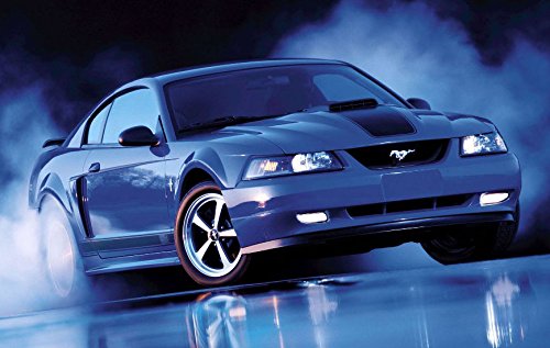 1999-2004 Mustang Mach 1 Radiator Grille Delete Cover Filler Panel